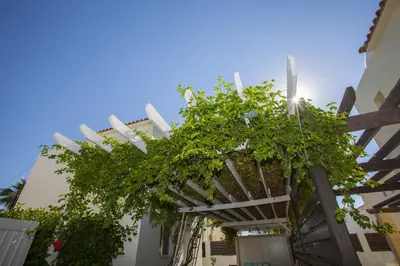 a pergola with green plants on a building at Passion Villa in Protaras
