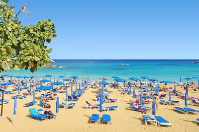 a beach filled with lots of chairs and umbrellas at Villa Summer in Protaras