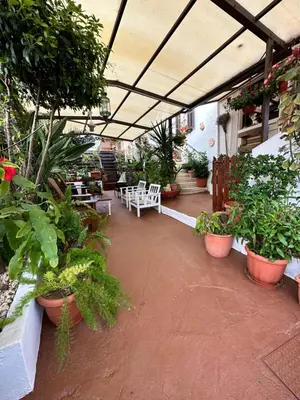 a patio with a bunch of plants and tables and chairs at Estia Vasilis Manoli in Ayia Napa