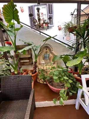 a bunch of plants in a room with some chairs at Estia Vasilis Manoli in Ayia Napa