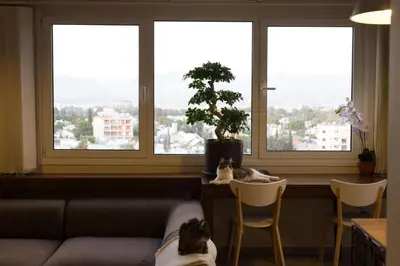 a cat sitting on a chair in front of a window at Vas' Penthouse in Nicosia