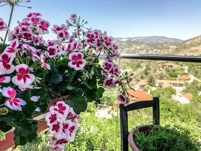 a potted plant with pink flowers on a balcony at Vasiliou House Krimenos in Khandria