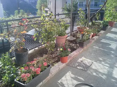 a row of potted plants on a balcony at Christos House in Kakopetria