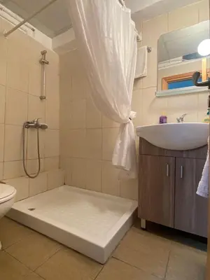 a bathroom with a shower and a sink and a toilet at Christos House in Kakopetria