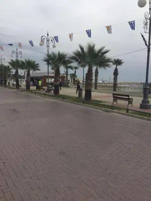a street with palm trees and a park with a bench at Nautilus Tourist Apartments in Larnaka
