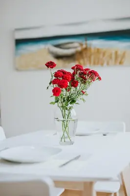 a vase of red flowers sitting on a table at Stephanie Studios in Larnaka