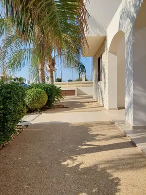 a house with palm trees and a walkway at Villa Sotmarie in Protaras