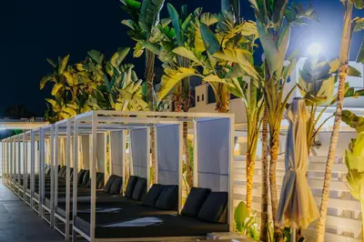 a room with a bunch of palm trees at Tasia Maris Sands (Adults Only) in Ayia Napa