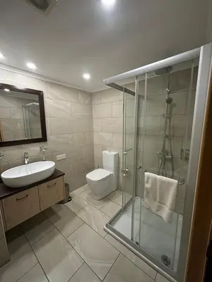 a bathroom with a shower and a toilet and a sink at Theoxenia in Kalopanayiotis