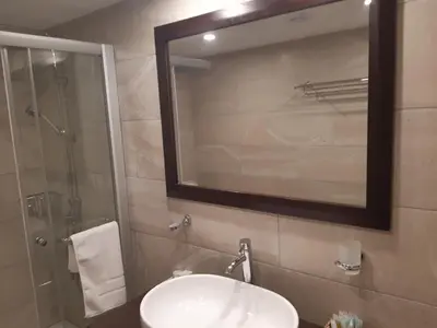 a bathroom with a sink and a mirror and a shower at Theoxenia in Kalopanayiotis