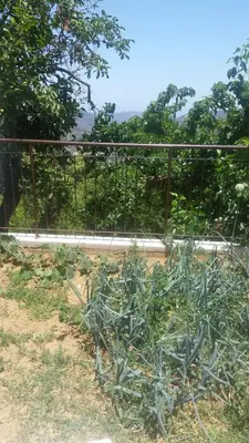 a plant in a garden in front of a fence at Spiti tis Irinis in Pedoulas