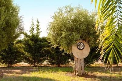a tree with a clock on the side of it at Amethyst Napa Hotel & Spa in Ayia Napa