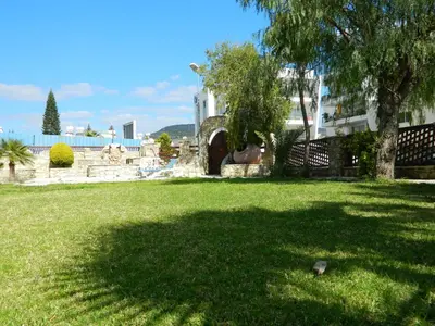 a shadow of a tree on a field of grass at M. Moniatis Hotel in Limassol