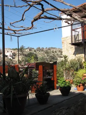 a group of potted plants in front of a building at Vasilopoulos House in Tochni