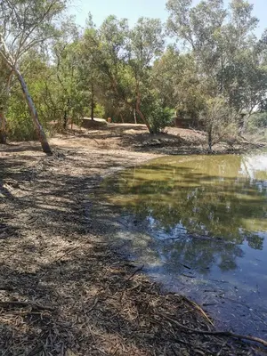 a body of water with trees in the background at Nicosia rooms Studios in Nicosia