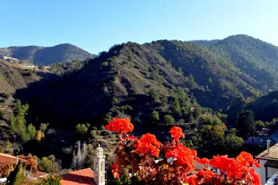a view of a mountain with red flowers at Kalopanayiotis Museum Inn in Kalopanayiotis