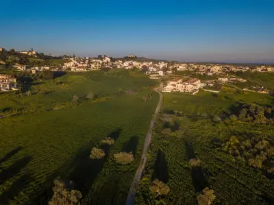 an aerial view of a green field with a town at Samareitidos Light Cottage in Anaphotia