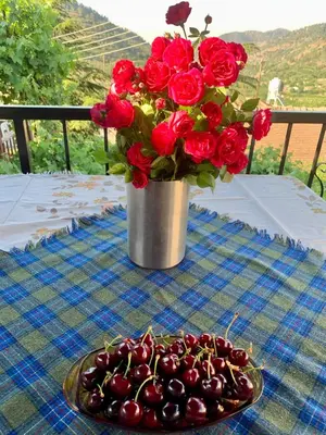 a vase filled with red roses and a plate of cherries at Saint Nicholas heights in Chakistra