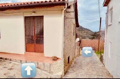 a cat sitting on a street next to a building at Saint Nicholas heights in Chakistra