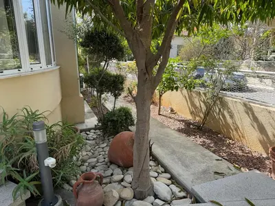 a tree in a garden next to a house at Avgi's Home in Limassol