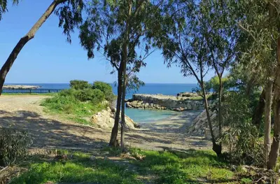 a beach with trees and the ocean in the background at Apartment Erika in Protaras