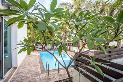 a pool with a tree next to a bench at Villa Costas in Protaras