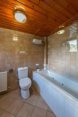 a bathroom with a toilet and a bath tub at Themis House in Lemithou