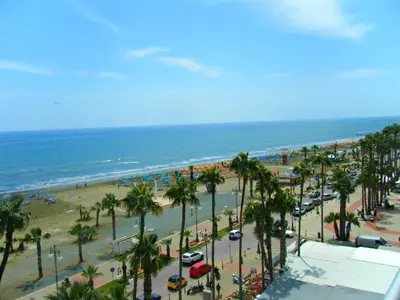 a view of a beach with palm trees and the ocean at City Rendezvous One Bedroom Flat in Larnaka