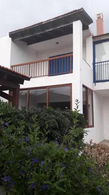 a white house with blue windows and some bushes at Rita SeaView Apartment in Pervolia