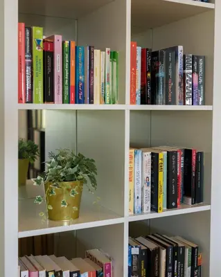 a book shelf filled with books and a potted plant at Sveltos Hotel in Larnaka