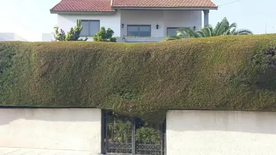 a ivy covered building with a house in the background at Residence L' Aubrais in Limassol