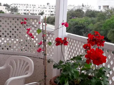 a balcony with red flowers and a white fence at Protaras Happy Sunny Holidays in Paralimni