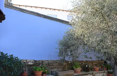 a blue wall with potted plants in front of a building at To Konatzi tou Flokka in Ayios Theodhoros
