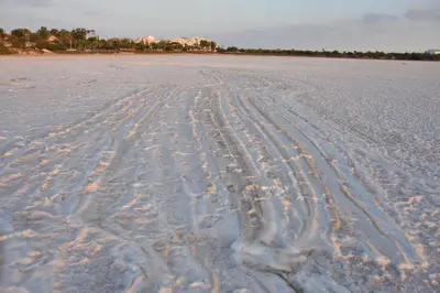 a snow covered beach with tracks in the snow at Montehugh in Larnaka
