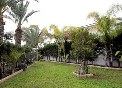 a garden with palm trees and a building at The White House in Larnaka