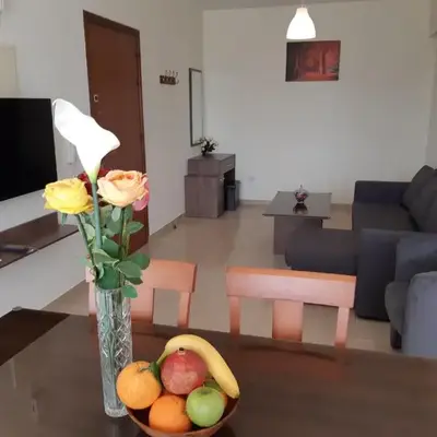 Vasilas Holiday Apartment #1