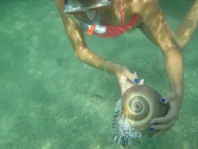 a person playing with a snail in the water at Green Bay Penthouse 2 in Protaras