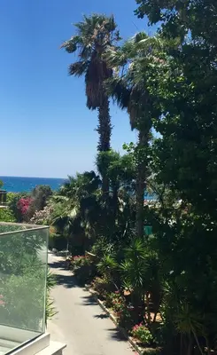 a path with palm trees and the ocean in the background at Modern Seaview Beach Studio Limassol in Limassol