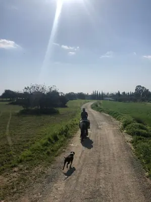 a person riding a horse and a dog on a dirt road at Tranquil Country Condo - Tersefanou in Larnaka
