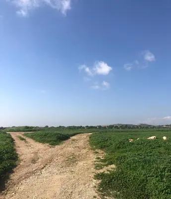 a dirt road in the middle of a field at Tranquil Country Condo - Tersefanou in Larnaka