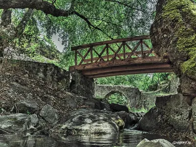 a wooden bridge over a river with rocks and trees at Anastou's Traditional House in Kalopanayiotis