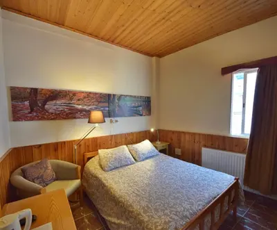 a bedroom with a bed and a chair at Christys Palace Hotel in Pedoulas