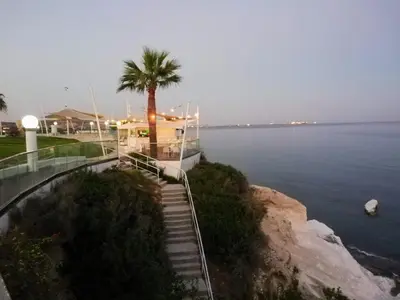 a stairway with a palm tree next to the water at Kalavasos View Traditional Apartments in Kalavasos