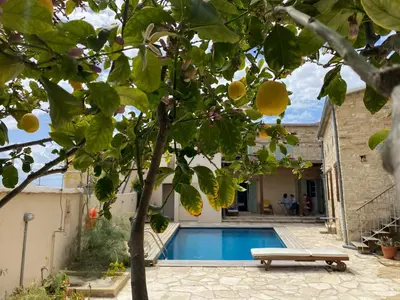 a house with a swimming pool and a tree at Evkarpos Country House in Psematismenos