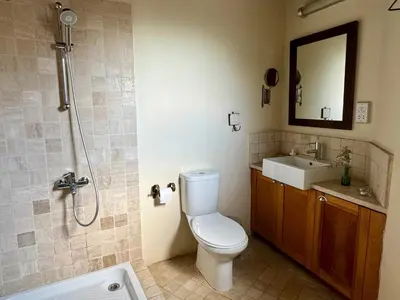 a bathroom with a toilet and a sink and a shower at Evkarpos Country House in Psematismenos