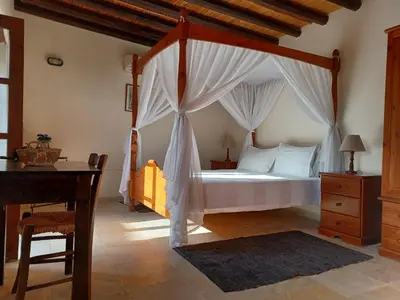 a bedroom with a canopy bed and a desk at Kleanthis House in Tochni