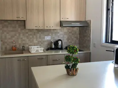 a kitchen with a counter with a vase of flowers at Kasapis Apts in Larnaka