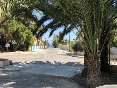 a palm tree on the side of a street at Kasapis Apts in Larnaka