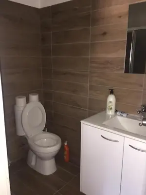 a bathroom with a toilet and a sink at Kasapis Apts in Larnaka