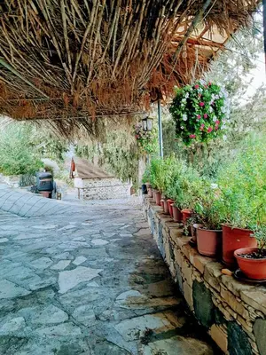 a row of potted plants on a stone wall at Eleni's Cottage in Apsiou